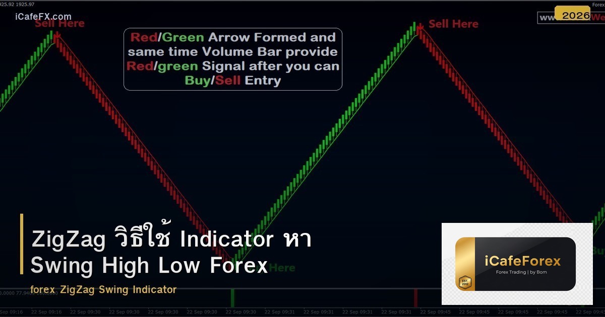 ZigZag วิธีใช้ Indicator หา Swing High Low Forex