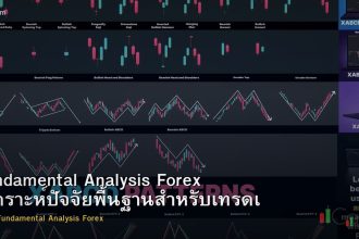 Fundamental Analysis Forex วิเคราะห์ปัจจัยพื้นฐานสำหรับเทรดเดอร์