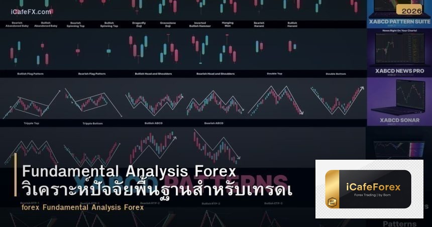 Fundamental Analysis Forex วิเคราะห์ปัจจัยพื้นฐานสำหรับเทรดเดอร์