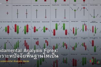 Fundamental Analysis Forex: วิเคราะห์ปัจจัยพื้นฐานให้เป็น
