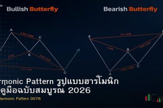 Harmonic Pattern รูปแบบฮาร์โมนิก — คู่มือฉบับสมบูรณ์ 2026