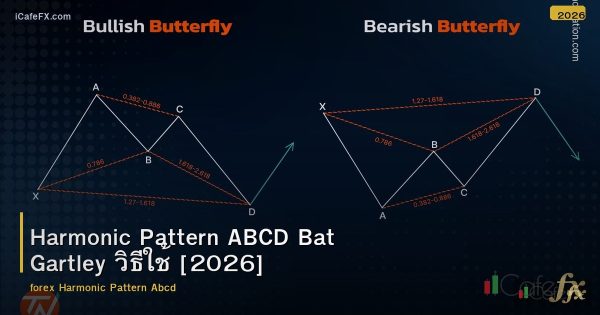 Harmonic Pattern ABCD Bat Gartley วิธีใช้ [2026]