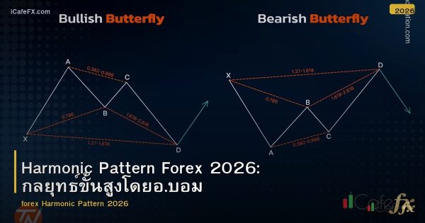 Harmonic Pattern Forex 2026: กลยุทธ์ขั้นสูงโดยอ.บอม