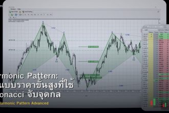 Harmonic Pattern: รูปแบบราคาขั้นสูงที่ใช้ Fibonacci จับจุดกลับตัว