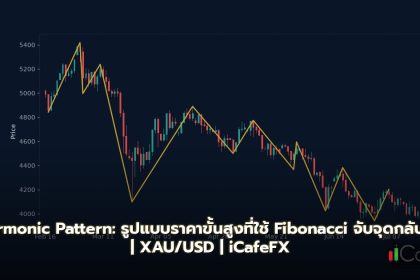 Harmonic Pattern: รูปแบบราคาขั้นสูงที่ใช้ Fibonacci จับจุดกลับตัว