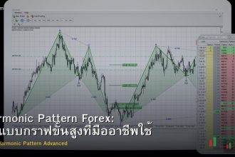 Harmonic Pattern Forex: รูปแบบกราฟขั้นสูงที่มืออาชีพใช้