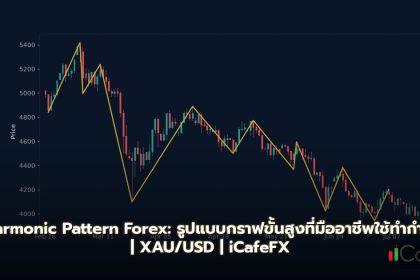 Harmonic Pattern Forex: รูปแบบกราฟขั้นสูงที่มืออาชีพใช้
