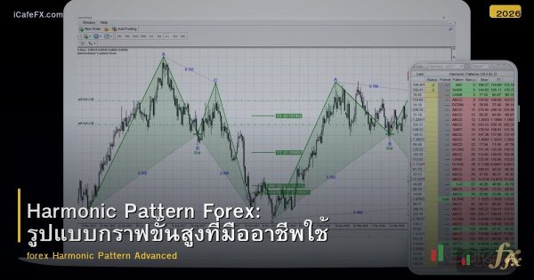Harmonic Pattern Forex: รูปแบบกราฟขั้นสูงที่มืออาชีพใช้
