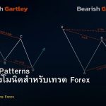 Harmonic Patterns รูปแบบฮาร์โมนิคสำหรับเทรด Forex Gartley Butterfly Bat