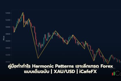 Harmonic Patterns รูปแบบฮาร์โมนิคสำหรับเทรด Forex Gartley Butterfly Bat