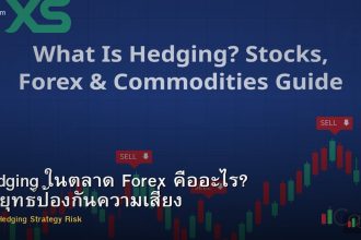 Hedging ในตลาด Forex คืออะไร? กลยุทธ์ป้องกันความเสี่ยง