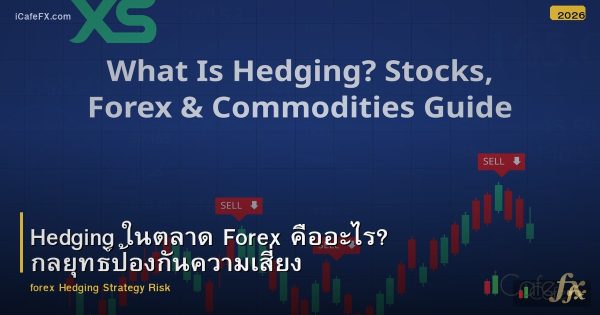 Hedging ในตลาด Forex คืออะไร? กลยุทธ์ป้องกันความเสี่ยง