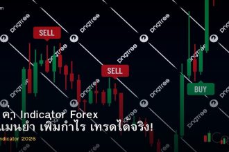 ตั้ง ค่า Indicator Forex ให้แม่นยำ เพิ่มกำไร เทรดได้จริง!