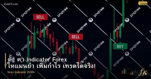 ตั้ง ค่า Indicator Forex ให้แม่นยำ เพิ่มกำไร เทรดได้จริง!