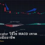 MACD Indicator วิธีใช้ MACD เทรด Forex อย่างมืออาชีพ