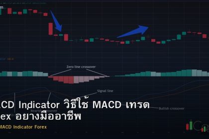 MACD Indicator วิธีใช้ MACD เทรด Forex อย่างมืออาชีพ