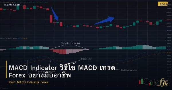 MACD Indicator วิธีใช้ MACD เทรด Forex อย่างมืออาชีพ