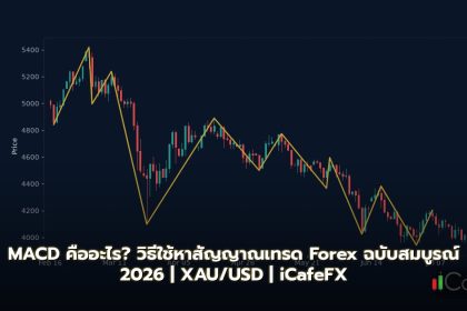 MACD วิธี ใช้ หา สัญญาณ — คู่มือ ฉบับ สมบูรณ์ 2026