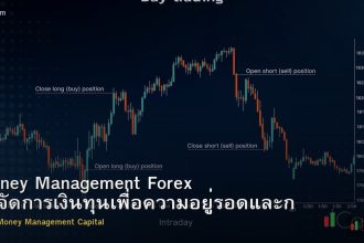 Money Management Forex วิธีจัดการเงินทุนเพื่อความอยู่รอดและกำไรระยะยาว