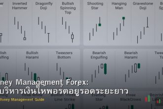 Money Management Forex: วิธีบริหารเงินให้พอร์ตอยู่รอดระยะยาว