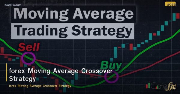 Moving Average Crossover Strategy สิ่งที่ต้องรู้