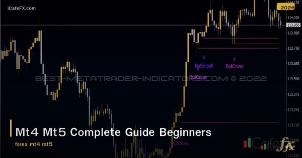 สรุปทุกคำสั่ง MT4/MT5: คู่มือใช้งานฉบับสมบูรณ์สำหรับมือใหม่