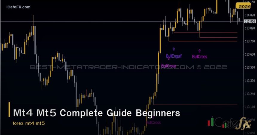Mt4 Mt5 Complete Guide Beginners
