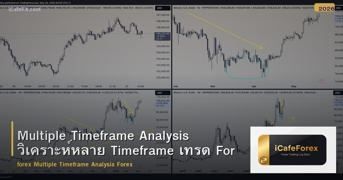 Multiple Timeframe Analysis วิเคราะห์หลาย Timeframe เทรด Forex แม่นยำขึ้น