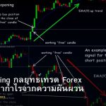 News Trading กลยุทธ์เทรด Forex ตามข่าว ทำกำไรจากความผันผวน