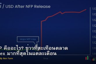 NFP คืออะไร? ข่าวที่สะเทือนตลาด Forex มากที่สุดในแต่ละเดือน