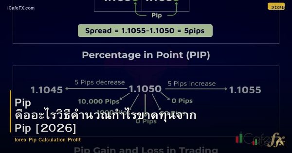 Pip คืออะไรวิธีคำนวณกำไรขาดทุนจาก Pip [2026]