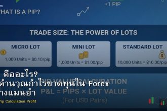 Pip คืออะไร? วิธีคำนวณกำไรขาดทุนใน Forex อย่างแม่นยำ