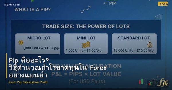 Pip คืออะไร? วิธีคำนวณกำไรขาดทุนใน Forex อย่างแม่นยำ