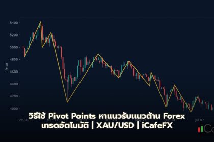 Pivot Points วิธีใช้จุดหมุนราคาเทรด Forex หาแนวรับแนวต้านอัตโนมัติ