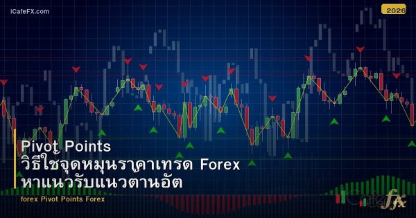Pivot Points วิธีใช้จุดหมุนราคาเทรด Forex หาแนวรับแนวต้านอัตโนมัติ
