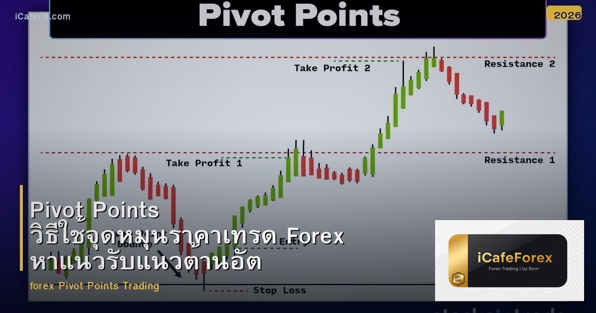 Pivot Points วิธีใช้จุดหมุนราคาเทรด Forex หาแนวรับแนวต้านอัตโนมัติ