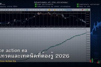 price action ea วิธีเทรดและเทคนิคที่ต้องรู้ 2026