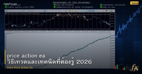 price action ea วิธีเทรดและเทคนิคที่ต้องรู้ 2026