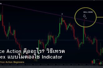 Price Action คืออะไร? วิธีเทรด Forex แบบไม่ต้องใช้ Indicator