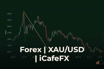 Risk Management บริหารความเสี่ยง Forex ไม่ให้ล้างพอร์ต