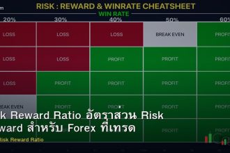 Risk Reward Ratio อัตราส่วน Risk Reward สำหรับ Forex ที่เทรดเดอร์ต้องรู้