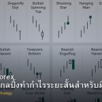 Scalping Forex กลยุทธ์สแกลปิ้งทำกำไรระยะสั้นสำหรับมือใหม่ถึงมืออาชีพ