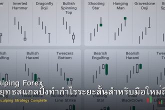 Scalping Forex กลยุทธ์สแกลปิ้งทำกำไรระยะสั้นสำหรับมือใหม่ถึงมืออาชีพ