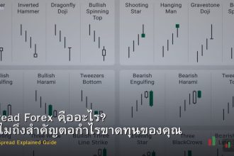 Spread Forex คืออะไร? ทำไมถึงสำคัญต่อกำไรขาดทุนของคุณ