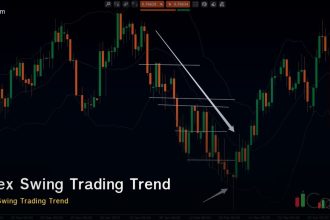 icf swing trading e0b888e0b8 cover