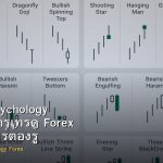 Trading Psychology จิตวิทยาการเทรด Forex ที่เทรดเดอร์ต้องรู้
