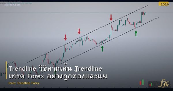 Trendline วิธีลากเส้น Trendline เทรด Forex อย่างถูกต้องและแม่นยำ