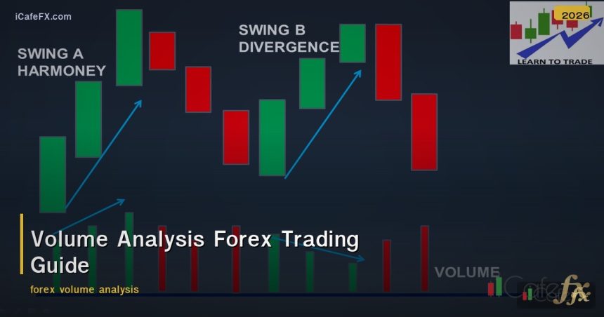 Volume Analysis Forex Trading Guide