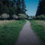 ichimoku cloud indicator how to cover 1