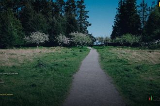 ichimoku cloud indicator how to cover 1